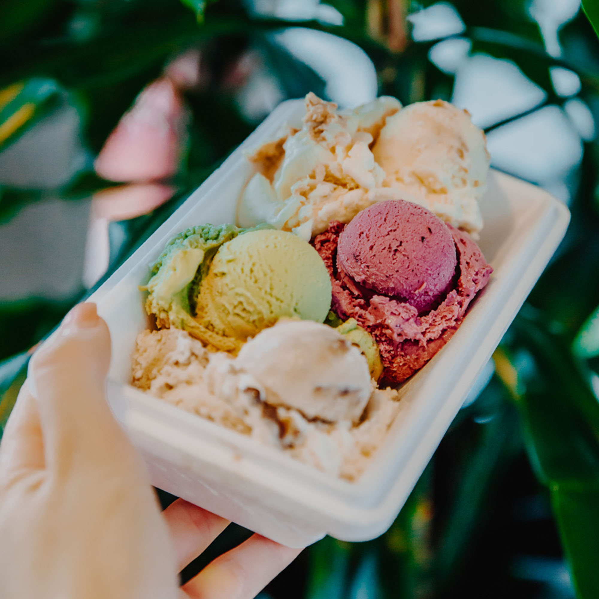 Polonia Cafe Lubelska Manufaktura Lodów